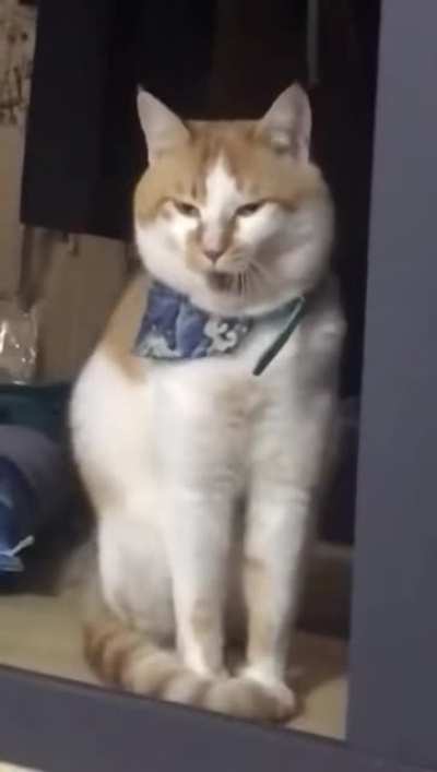Now this is a yawn