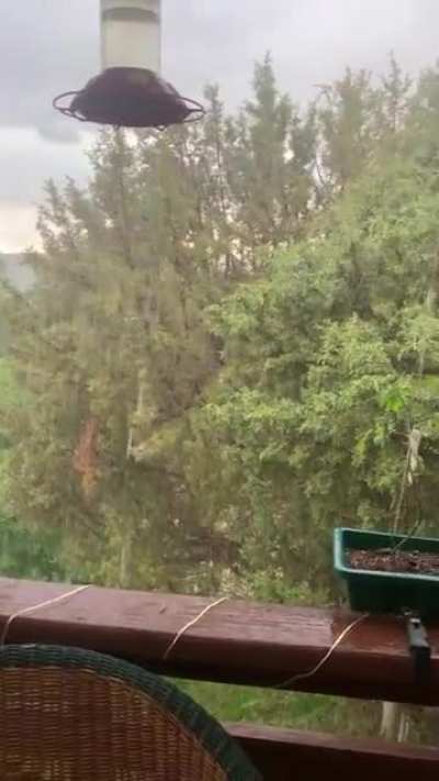It never rains in SW Colorado, so happy to sit and listen to it :)