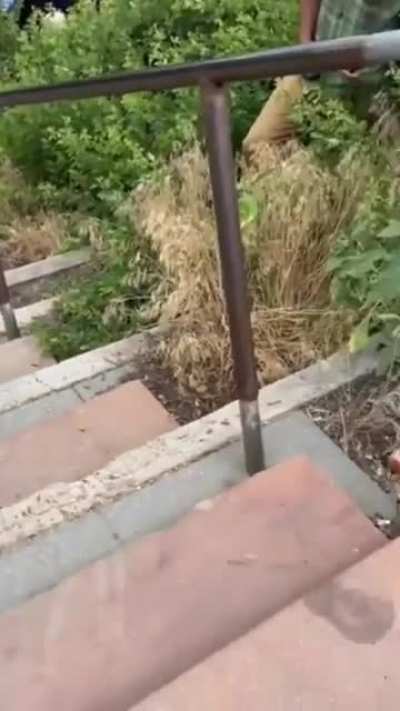 Nice body flip.
