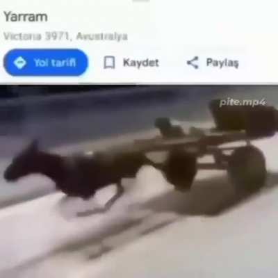 yarram