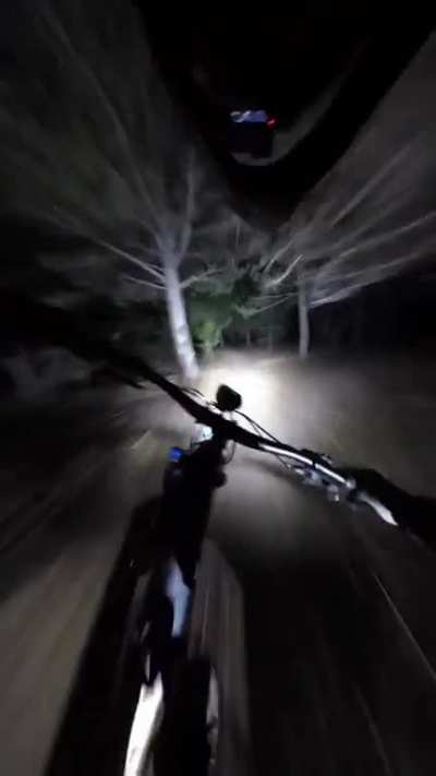 POV: It’s 3am and you’re being chased through a forrest