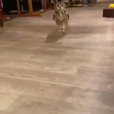 IS THAT A CUSTOMER? flop flop flop flop .... 