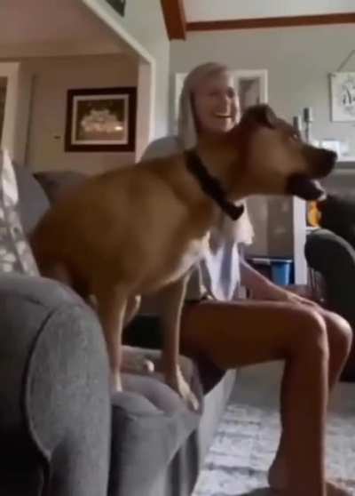 Doge Chaos