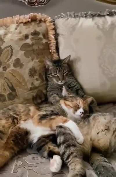 Just the two of us