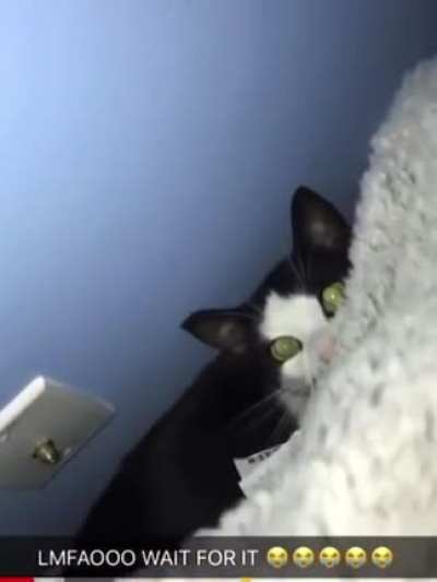 Hi benji!