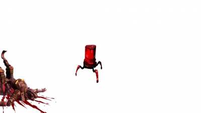 Tick.mp4