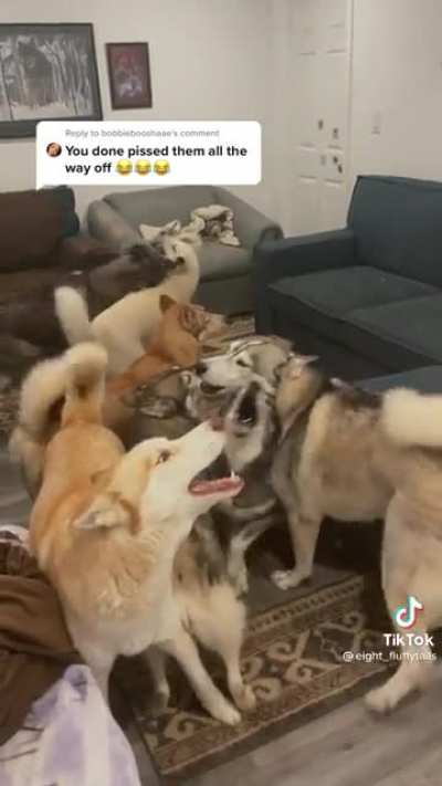 Listen to the good bois harmonize
