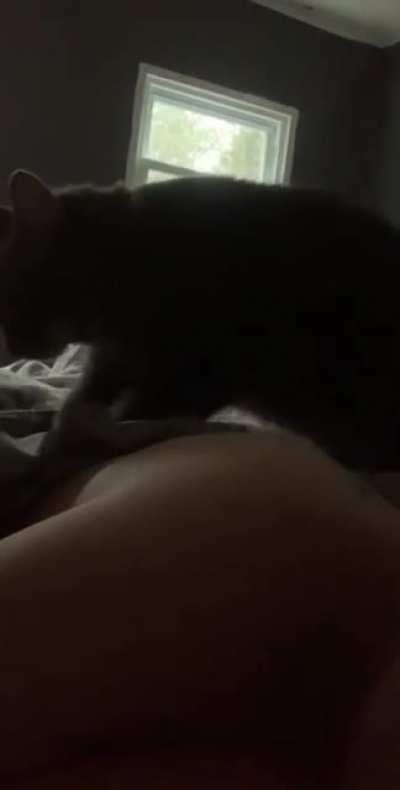 Zavior makes sure I get up when my alarm goes off.