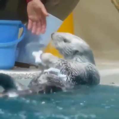 Quality control Otter inspects each and every part prior to shipping