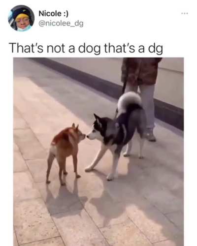 Dogevncxjajahwbfmvvjvjsjsndnf