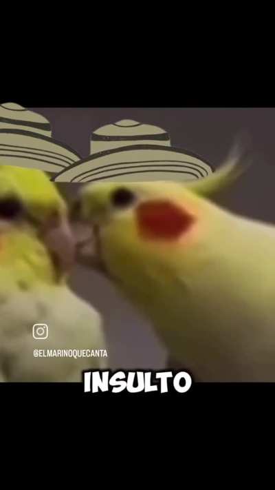 XDDDDD