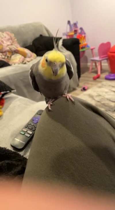 Whats my little man doin??