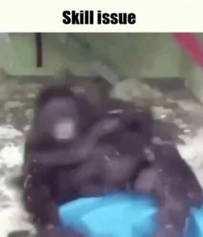 Monke got skill issue