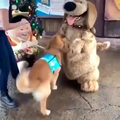 He SMILED!