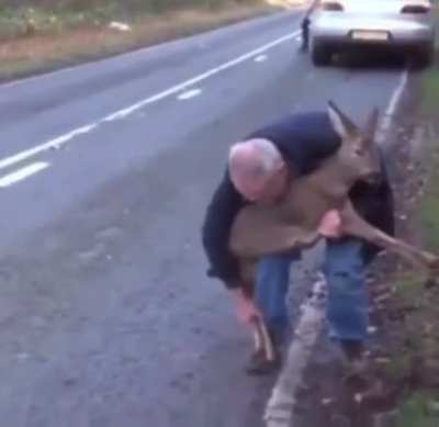 Helping a deer