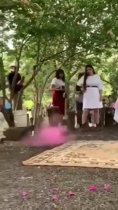 Gender reveal veneco edition