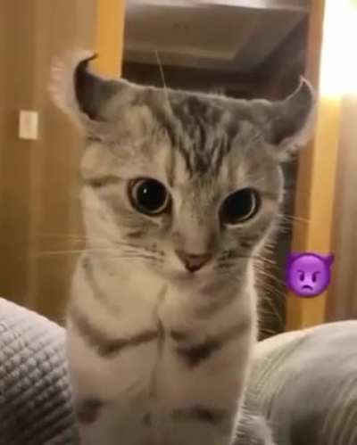 She can do that thing.