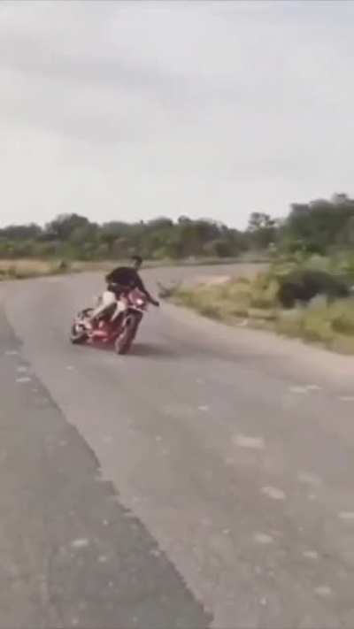 Que pro