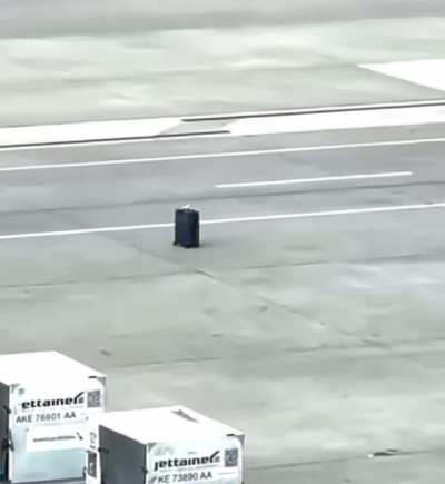 They didn’t lose the luggage. The luggage needed to get lost.