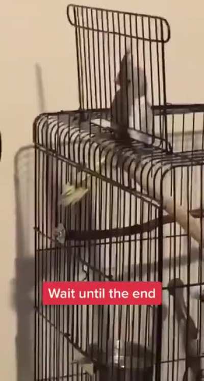 He’s trying something..