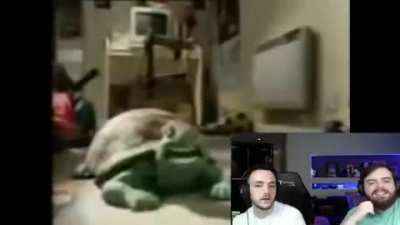 Temazo
