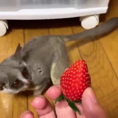 What is this offering?