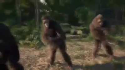 Monke