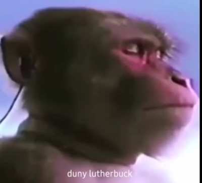 👌😎