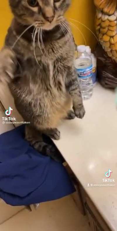 Death slap