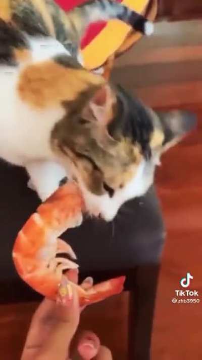 Dinner!