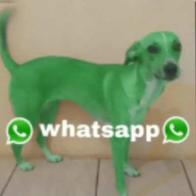 whatsapp drip 🚗🚗🚗🧑‍🦼🧑‍🦯👉🤤👈📮🦧🅱️🗼