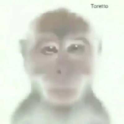 monk