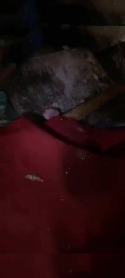 Today in Gostomel, near Bucha, in one of garages on Svyat<wbr>opokr<wbr>ovska<wbr>ya Street the police found 11 killed civilians, - the ex-head of the Ministry of Internal Affairs Avakov. According to him, locals said that the peacekeepers were killed by Russian snipers