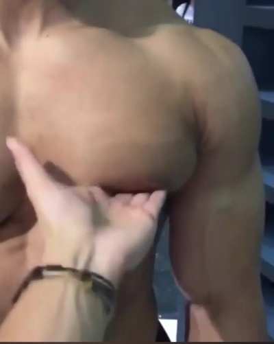 This guy's chest!