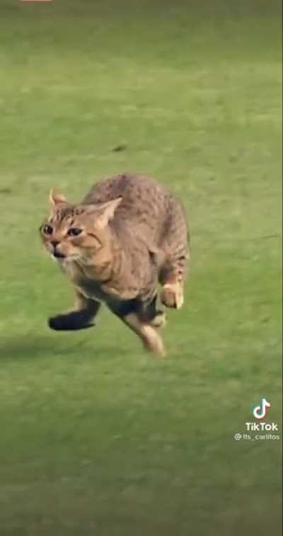Aww😻