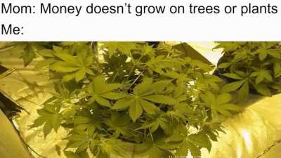 I'm just gonna post this here aswell