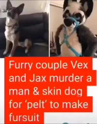Furry