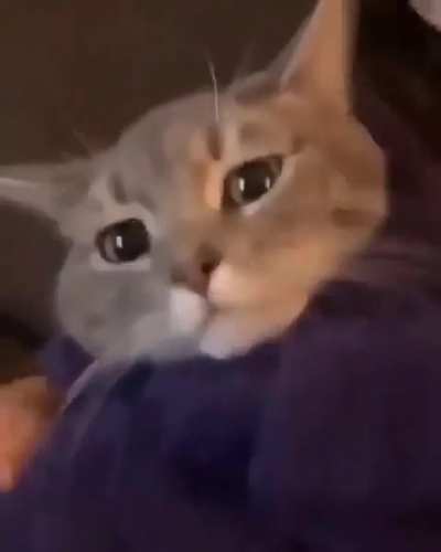 Awwww