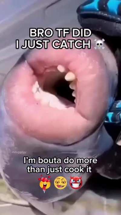 what is he gonna do to that fish