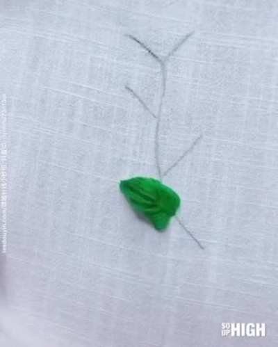 The way it's embroidered