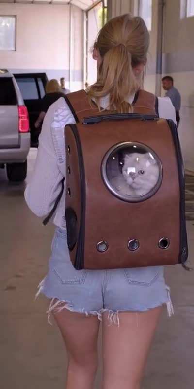 Taylor swift, Booty and Cheeky