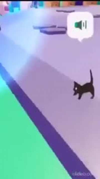 Roblox cat