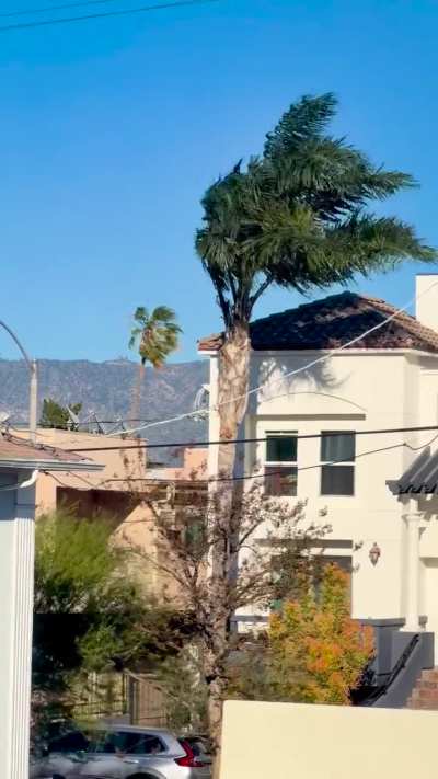 Those Santa Ana’s really blowing’