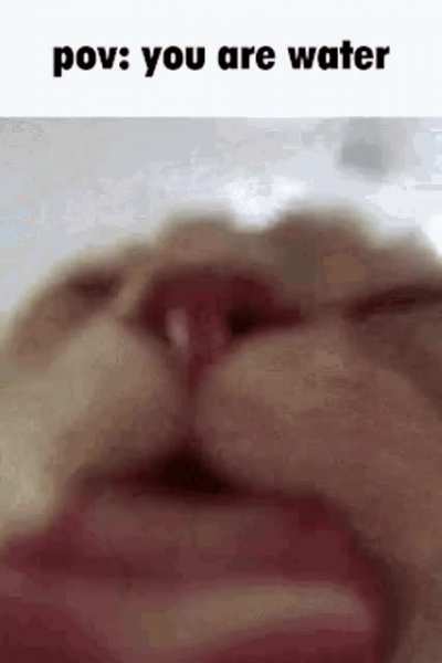 Day 1 of posting POV memez