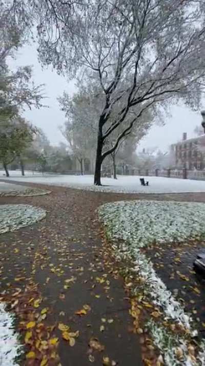 BrownU