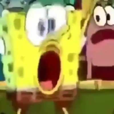 Sponge
