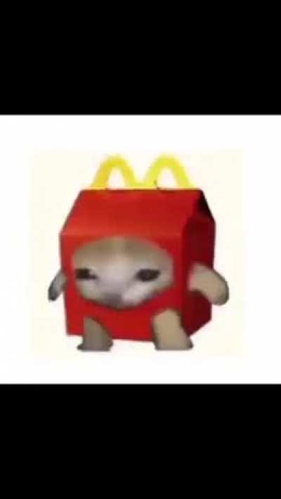 Catto no Gatto