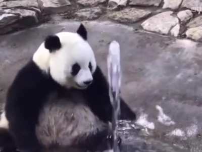 what d'you mean, 