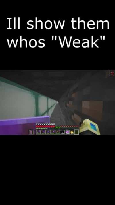 the john wick of minecraft