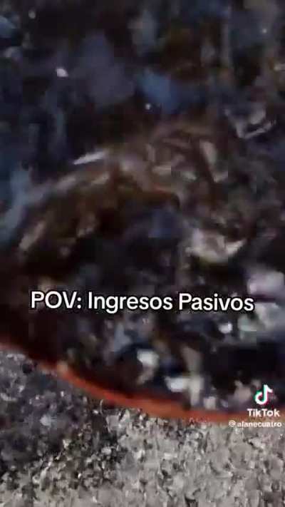 Futuro millonario 